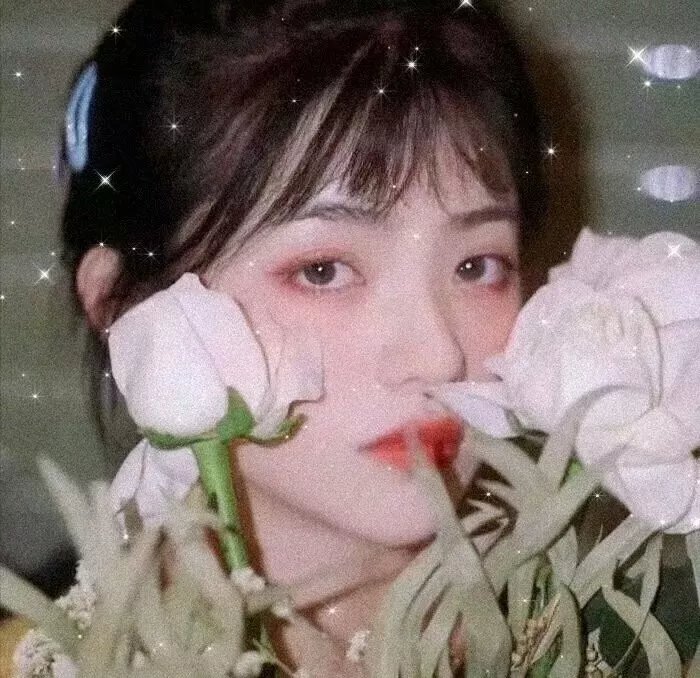 青春无悔